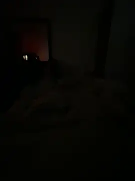 llllllllIIIll online show from 02.17.26