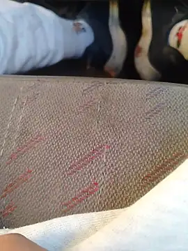 666Daemon666 online show from 01.17.26