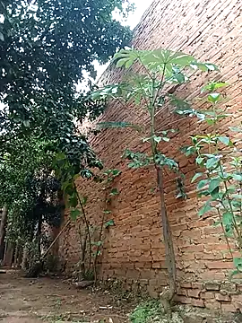 Snapshot of Jorgebenitez_1 chatting on 10.28.25 Jorgebenitez 1 online show from 10.28.25