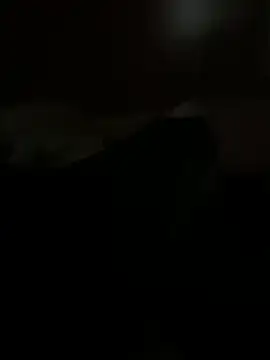 PassionCoupleLove online show from 10.26.25