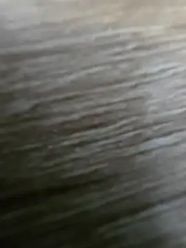 vivodan online show from 04.04.26