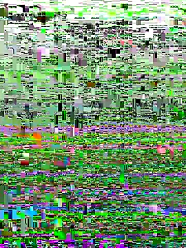 Snapshot of perfectguy4u chatting on 10.28.25 perfectguy4u online show from 10.28.25