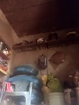 QRANSEXI online show from 11.18.25