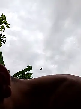 Snapshot of Alex_Sweeting chatting on 01.12.26 Alex Sweeting online show from 01.12.26