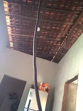 Ralf2011 online show from 12.04.25