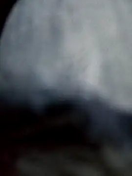 negro2828 online show from 10.27.25