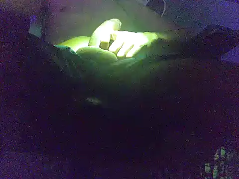 Snapshot of analice32456 chatting on 03.03.26 analice32456 online show from 03.03.26