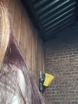 Snapshot of HGiasexy69 chatting on 11.02.25 HGiasexy69 online show from 11.02.25