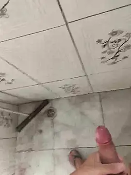 secretnovin7 online show from 04.04.26