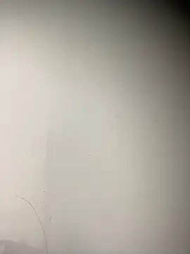 sabrinaneves online show from 02.11.26