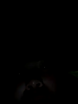 Nul-chal online show from 01.05.26