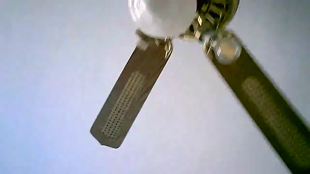 Snapshot of Sylviastar46 chatting on 11.11.25 Sylviastar46 online show from 11.11.25