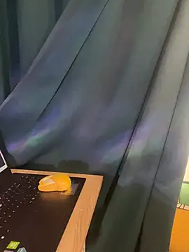 trinhvutrinh online show from 04.12.26