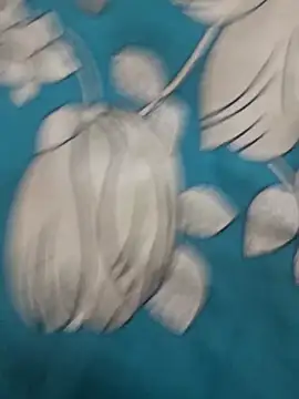 Haryanvi sanju online show from 03.15.26