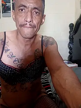 Innsacianle online show from 02.20.26