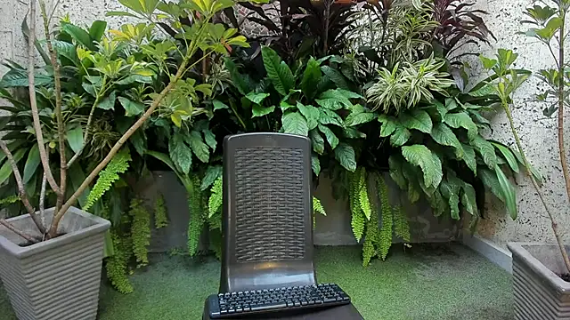 Staarhot online show from 02.01.26