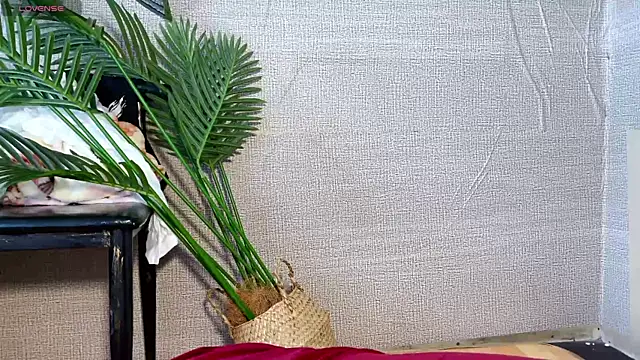 0xiaosu0 online show from 12.20.25