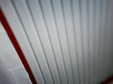 xwildflowerx online show from 03.03.26