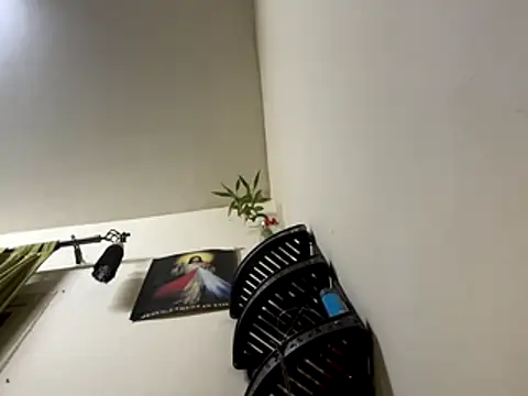 Snapshot of jishnu878 chatting on 11.24.25 jishnu878 online show from 11.24.25