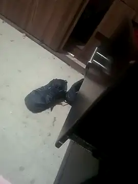 Yerackhip online show from 01.17.26