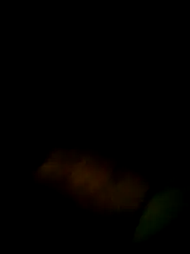 Yerackhip online show from 03.09.26