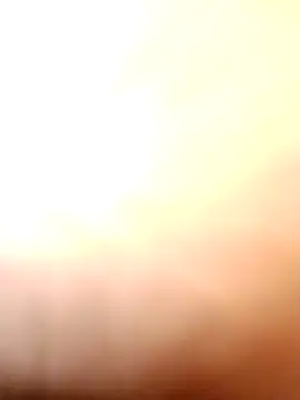 tamal2511 online show from 11.21.25