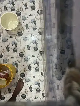 nehasharmanewgirl online show from 11.03.25