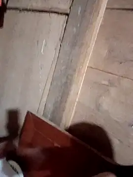 Bee-bgolden online show from 11.12.25