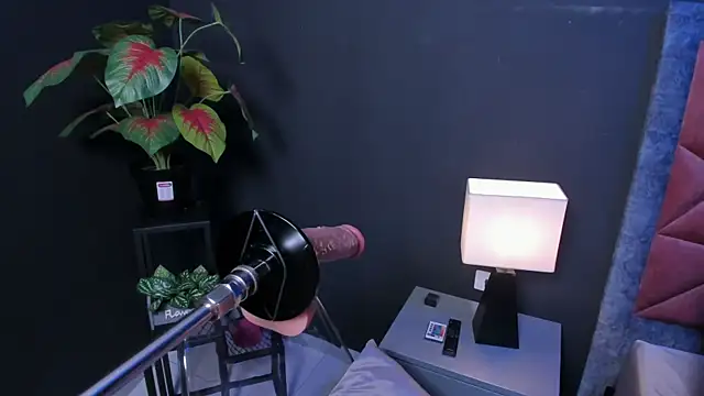 Amy whittee online show from 03.27.26