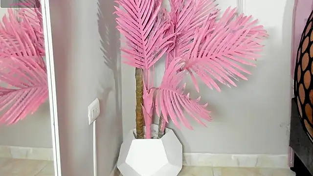 Tamaramilleer online show from 02.02.26