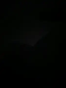 Snapshot of lanouvelle93 chatting on 05.19.26 lanouvelle93 online show from 05.19.26