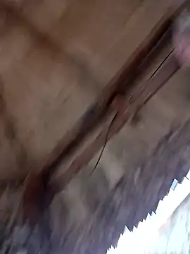 prototipoA45 online show from 01.13.26