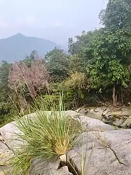 Lynly k2 online show from 12.21.25