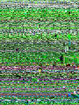 Snapshot of Kobhaktabhay chatting on 11.08.25 Kobhaktabhay online show from 11.08.25