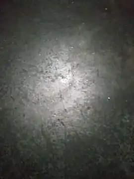 Snapshot of WillfulVideo chatting on 11.13.25 WillfulVideo online show from 11.13.25