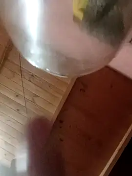 Snapshot of Camicam_04 chatting on 11.16.25 Camicam 04 online show from 11.16.25