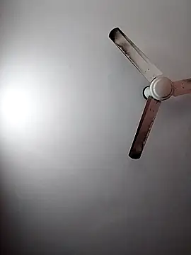 Snapshot of Keya-009 chatting on 03.01.26 Keya-009 online show from 03.01.26