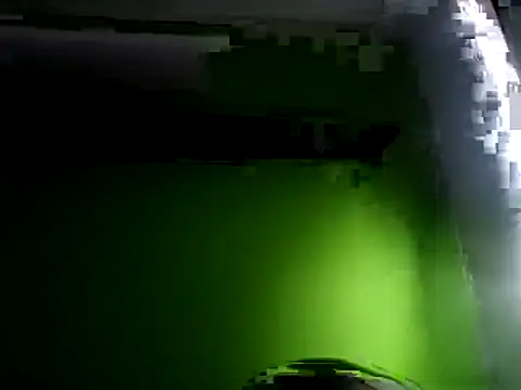 Snapshot of Trans50000 chatting on 11.09.25 Trans50000 online show from 11.09.25