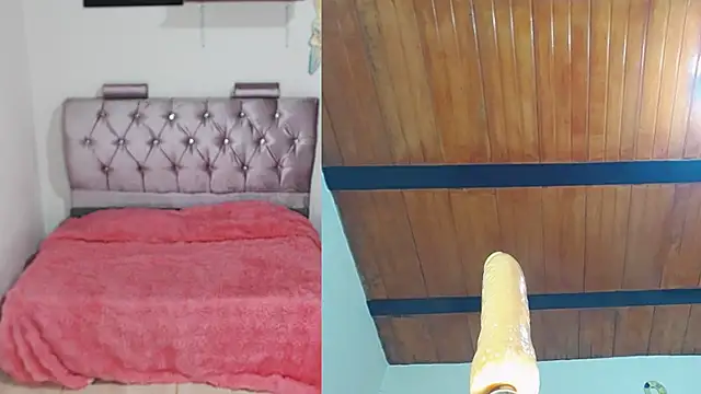 maia funny online show from 11.28.25