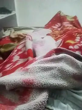 hyderabad single online show from 11.23.25