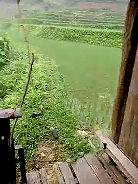 Cloud-wh online show from 04.08.26