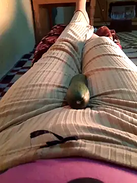 Tota sexi online show from 12.01.25