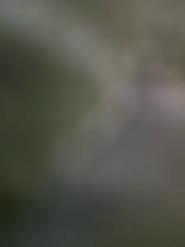 LynkLyy2k online show from 11.28.25