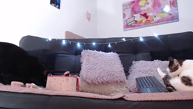 Snapshot of valery_carter01 chatting on 02.17.26 valery carter01 online show from 02.17.26