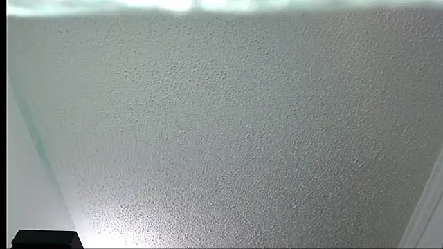 Little-rouse online show from 11.30.25