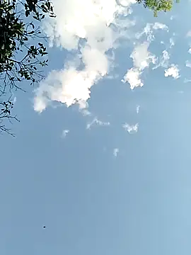 joselo2217 online show from 11.25.25