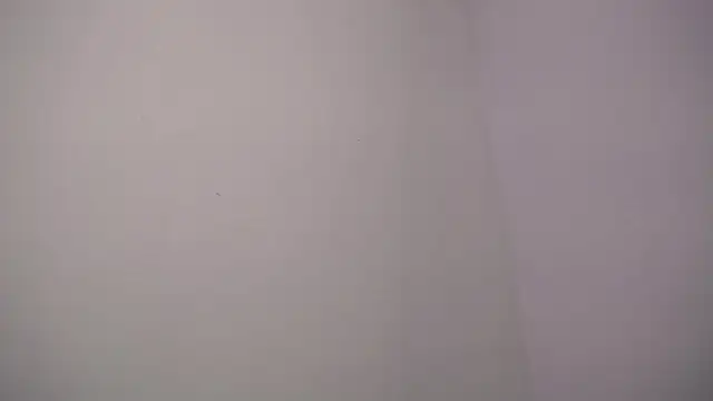 selene rouse  online show from 11.14.25