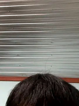 MEFUN- online show from 12.16.25