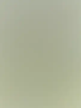 Rouse hot  online show from 12.20.25