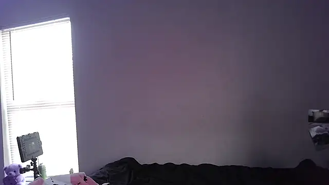 stellakobra online show from 04.24.26